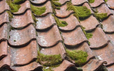 Residential Roofing Tips: Extending Your Roof’s Lifespan
