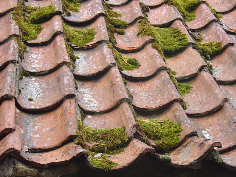 Residential Roofing in Marin County