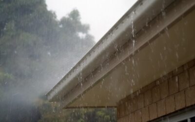 What Does Gutter Cleaning Involve?