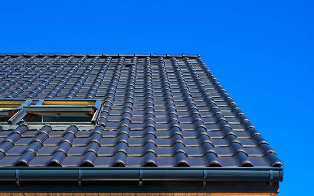 Close up shot of a black roof with skyl ights