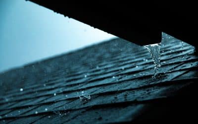 Gutter Issues? Know When to Call in the Experts