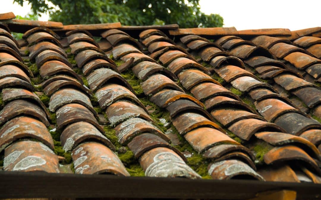 Mold on the Ceiling From a Roof Leak: Why You Need Residential Roof Repair Immediately