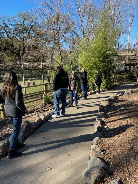 A group of people walking along a path in a zoo.