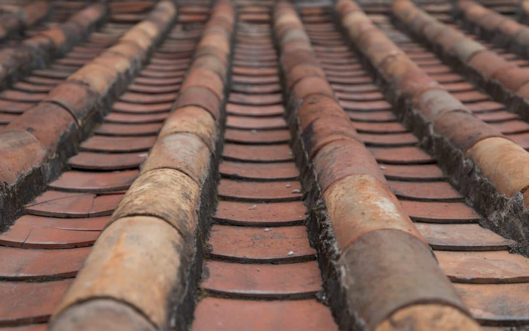 8 Signs Your Roof Needs Immediate Repairs