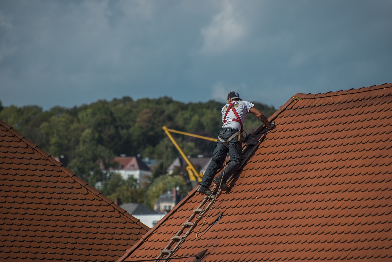 Man standing on orange tiled roof with a ladder